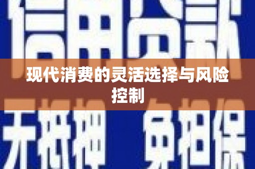 镇康现代消费的灵活选择与风险控制