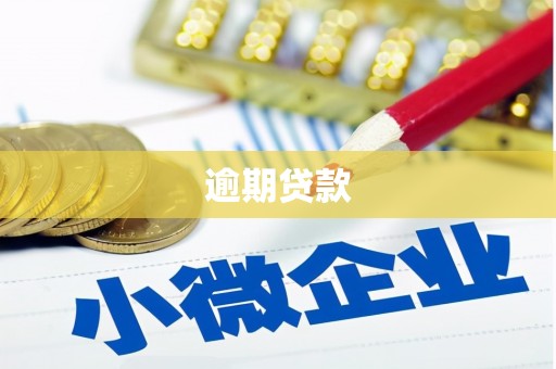 镇康逾期贷款