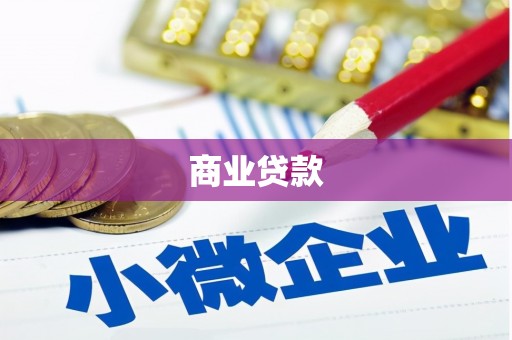 镇康商业贷款