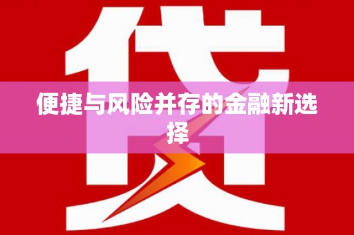 镇康便捷与风险并存的金融新选择