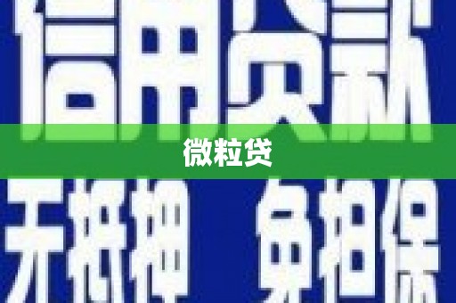 镇康微粒贷