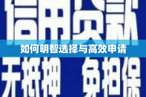 镇康如何明智选择与高效申请