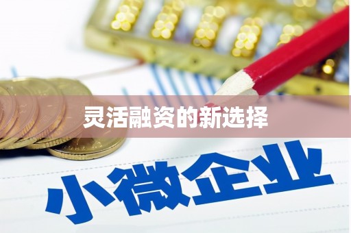 镇康灵活融资的新选择