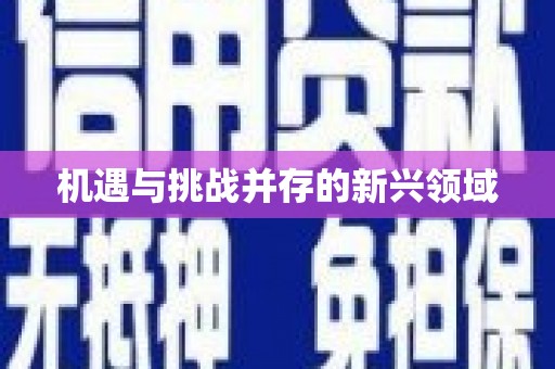 镇康机遇与挑战并存的新兴领域