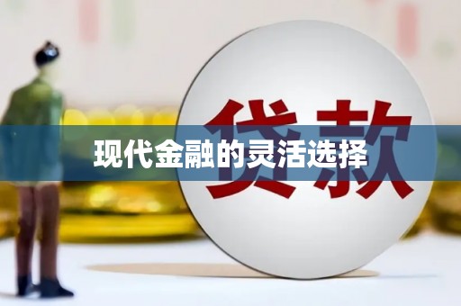 镇康现代金融的灵活选择