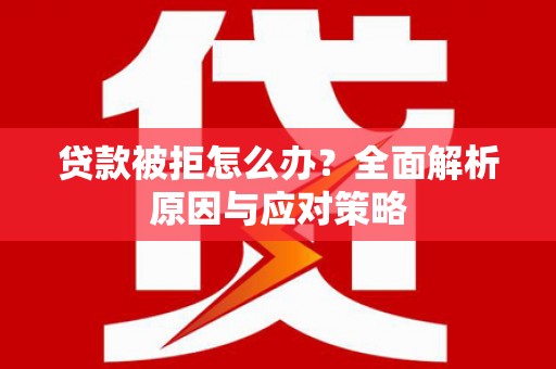 镇康贷款被拒怎么办？全面解析原因与应对策略