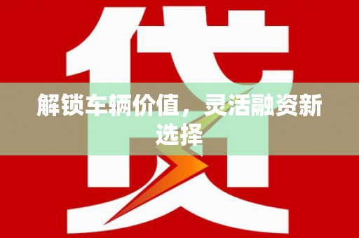 镇康解锁车辆价值，灵活融资新选择