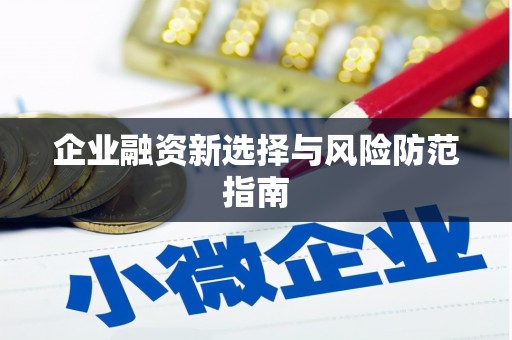镇康企业融资新选择与风险防范指南