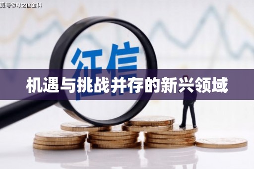镇康机遇与挑战并存的新兴领域