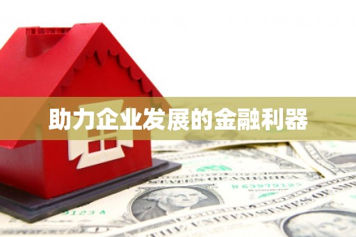 镇康助力企业发展的金融利器