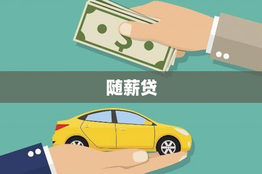 镇康随薪贷