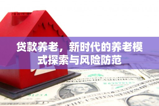 镇康贷款养老，新时代的养老模式探索与风险防范