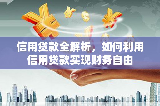 镇康信用贷款全解析，如何利用信用贷款实现财务自由