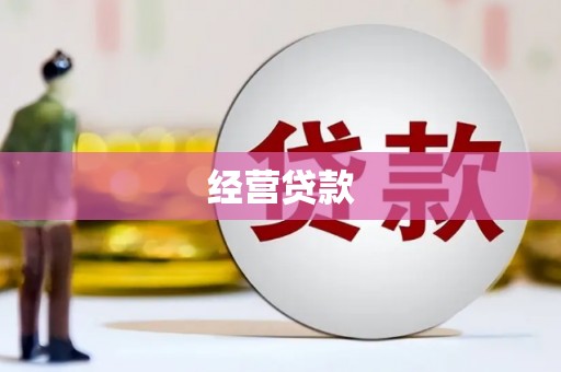 镇康经营贷款