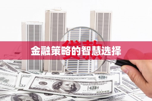 镇康金融策略的智慧选择