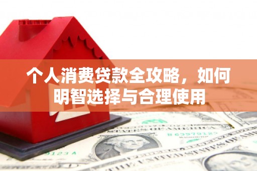 镇康个人消费贷款全攻略，如何明智选择与合理使用