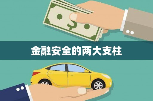 镇康金融安全的两大支柱