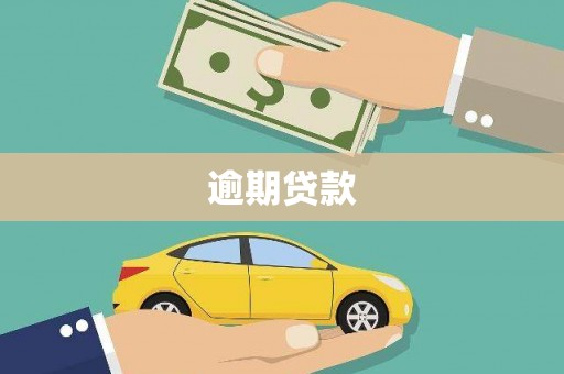 镇康逾期贷款