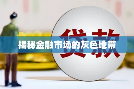 镇康揭秘金融市场的灰色地带