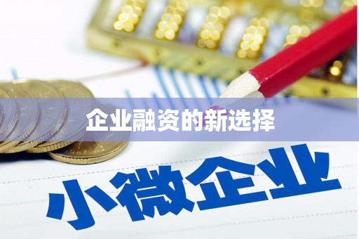 镇康企业融资的新选择