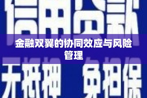 镇康金融双翼的协同效应与风险管理