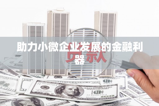 镇康助力小微企业发展的金融利器