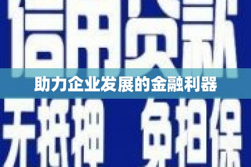 镇康助力企业发展的金融利器