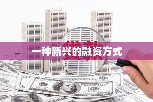 镇康一种新兴的融资方式