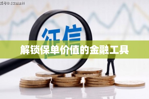 镇康解锁保单价值的金融工具