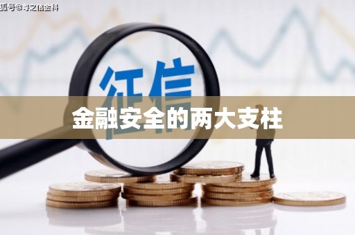 镇康金融安全的两大支柱