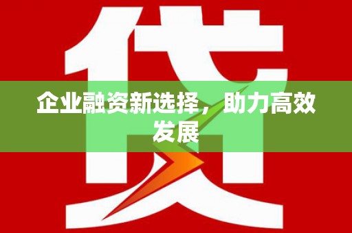 镇康企业融资新选择，助力高效发展