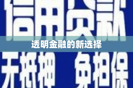 镇康透明金融的新选择