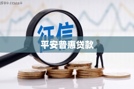镇康平安普惠贷款