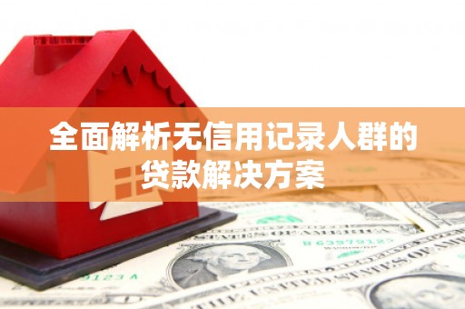 镇康全面解析无信用记录人群的贷款解决方案