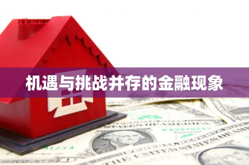 镇康机遇与挑战并存的金融现象