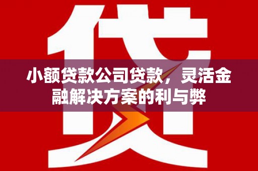 镇康小额贷款公司贷款，灵活金融解决方案的利与弊