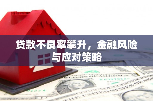 镇康贷款不良率攀升，金融风险与应对策略