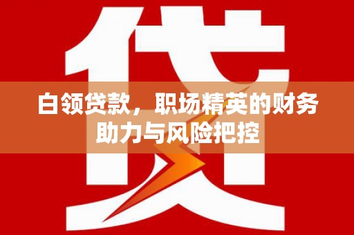 镇康白领贷款，职场精英的财务助力与风险把控