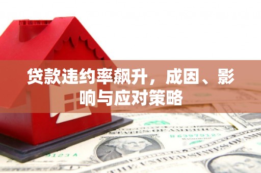 镇康贷款违约率飙升，成因、影响与应对策略