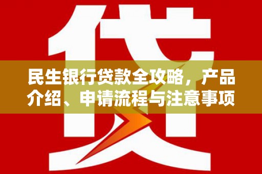 镇康民生银行贷款全攻略，产品介绍、申请流程与注意事项