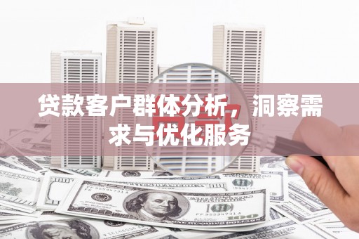 镇康贷款客户群体分析，洞察需求与优化服务