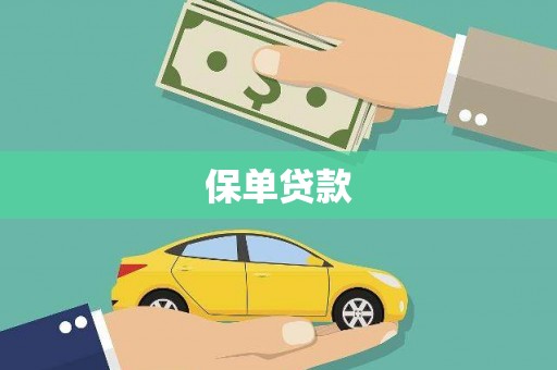 镇康保单贷款